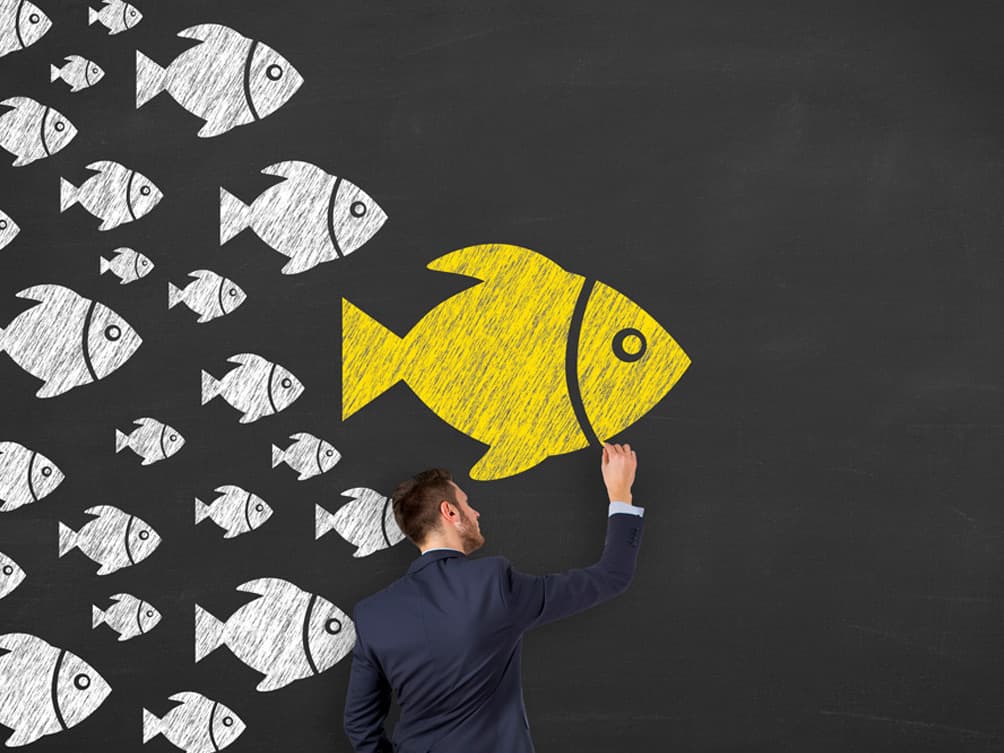 GxP Expertise for Program and Project Management