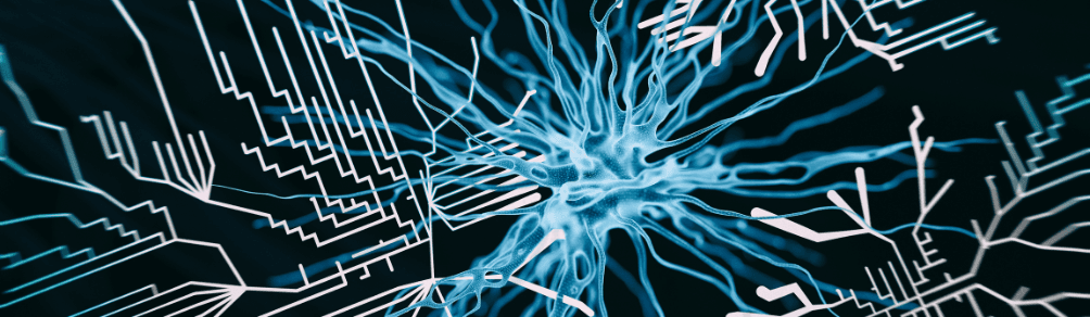 The Hidden Costs of Offshore IT Projects in Life Sciences: Why Local Expertise Matters