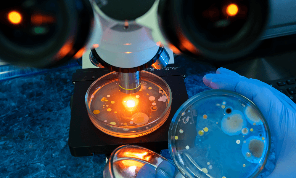 5 Ways AI is Transforming Clinical Trials